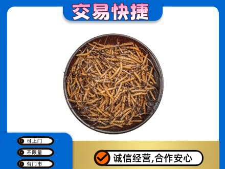 铁山区高价回收散虫草